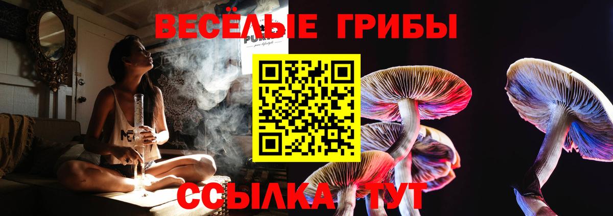 Галлюциногенные грибы Cubensis Миллерово